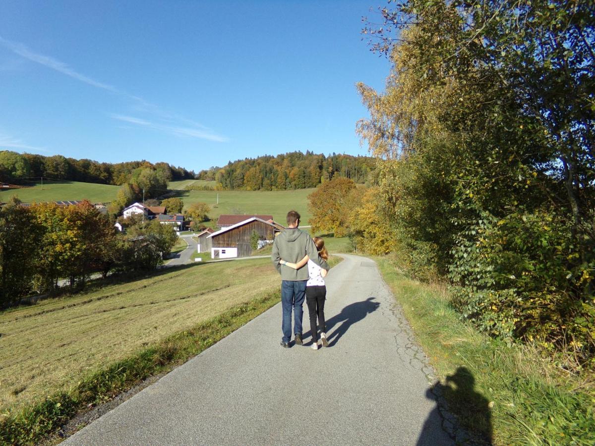 Urlaubspension Die Muehle Schollnach Exterior photo